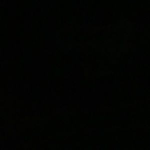 Meet your Posher, Freda